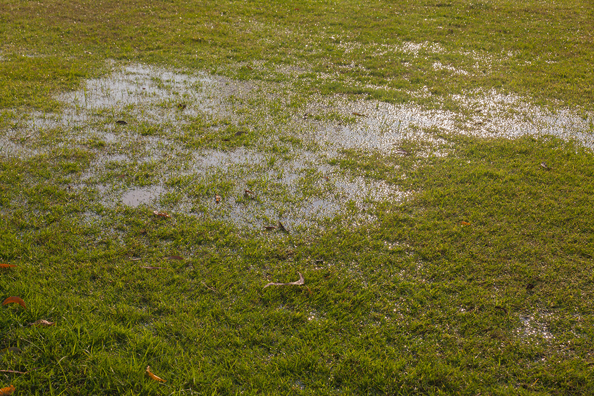 A flooded yard that may need be in need of a downspout bubbler inspection.