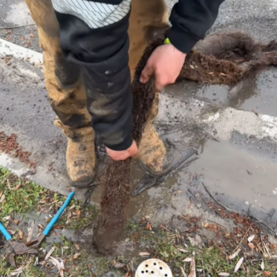 Do You Own A Home Or A Rental Property With Drainage Issues Due to Roots?