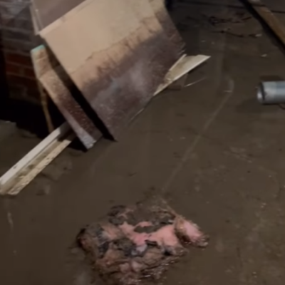 Do You Own A Home Or A Rental Property With A Flooded Basement?